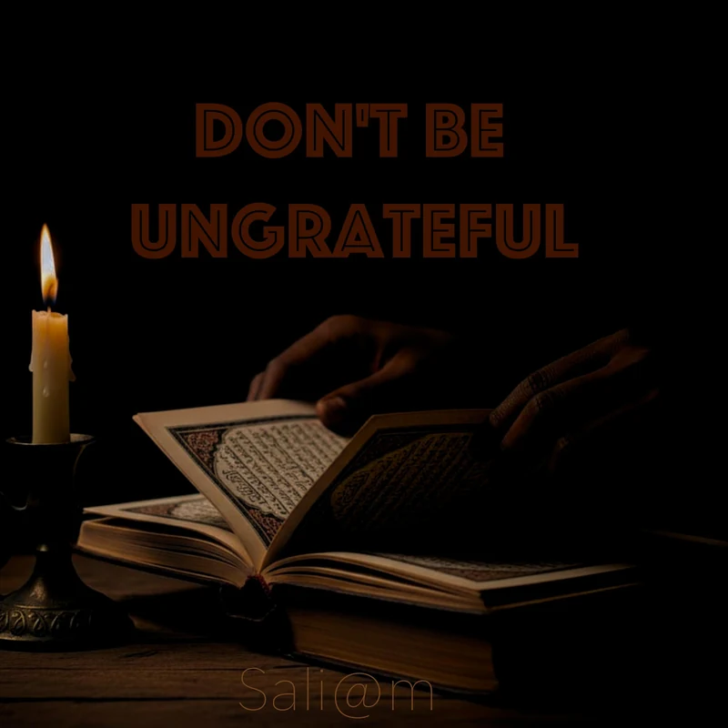 Don't Be Ungrateful cover artwork — Sali@m